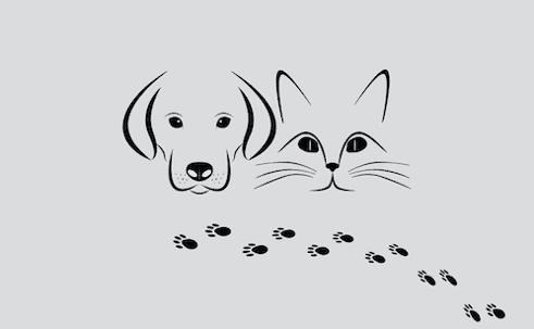 Pet owners and plumbing