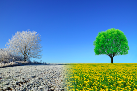 A picture of a meadow with trees with one side covered in snow and another during spring time